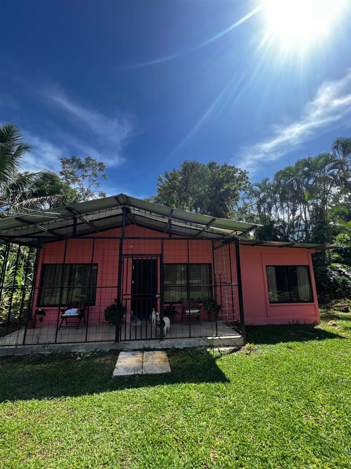 Paraiso Verde Siqurres Da Alegria Extérieur photo