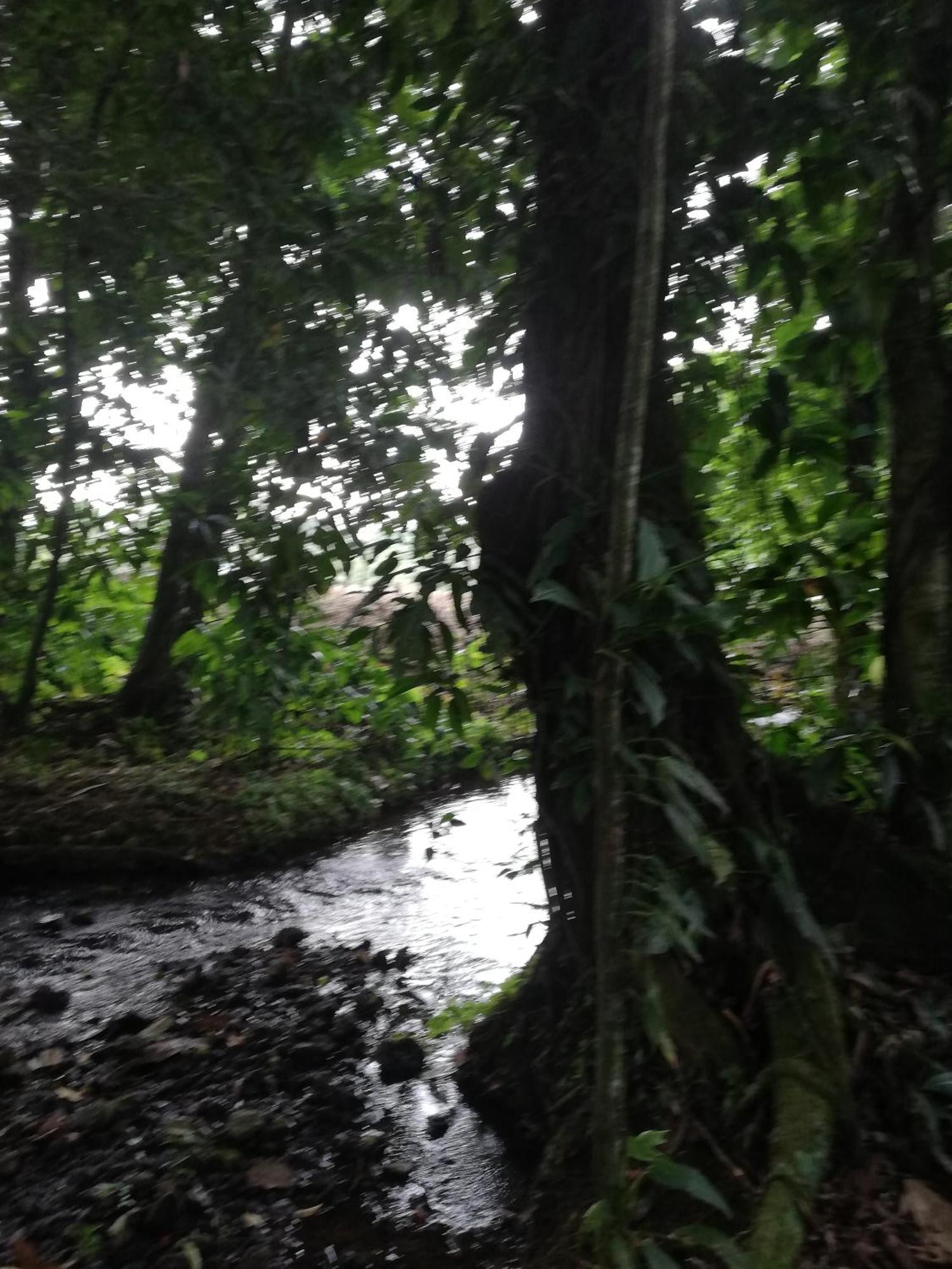 Paraiso Verde Siqurres Da Alegria Extérieur photo