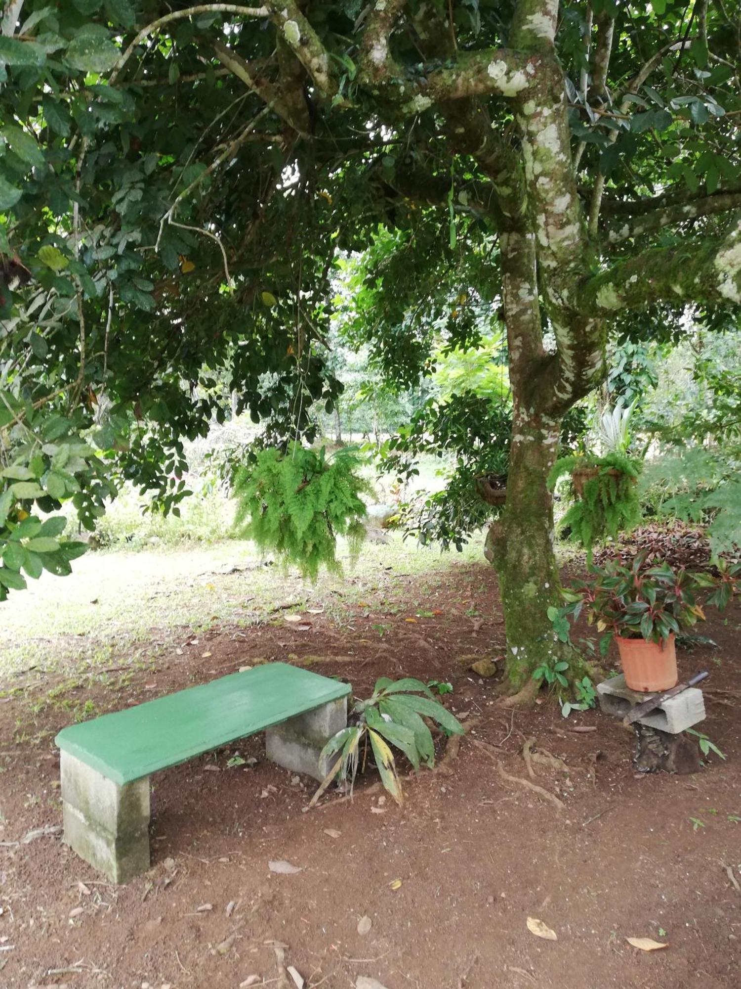 Paraiso Verde Siqurres Da Alegria Extérieur photo