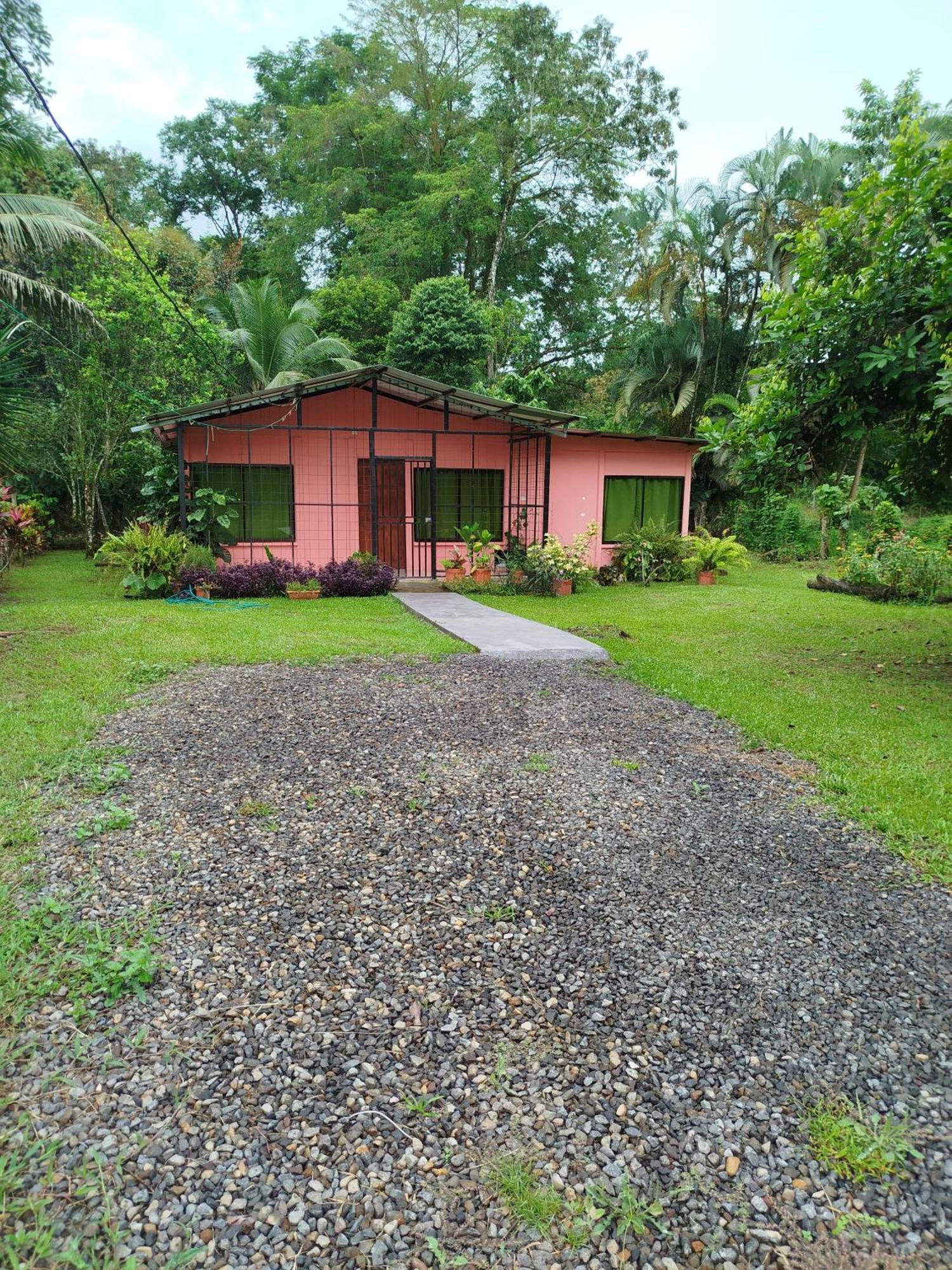 Paraiso Verde Siqurres Da Alegria Chambre photo